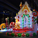 Ice Festival